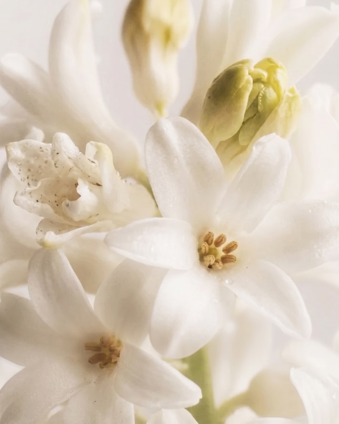 Blommig